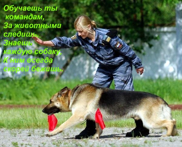 Открытка Обучаешь ты командам, За животными следишь, Знаешь каждую собаку, К ним всегда скорей бежишь.