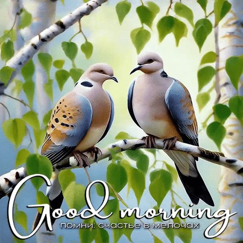 Анимированная открытка Good morning Помни: счастье в мелочах.