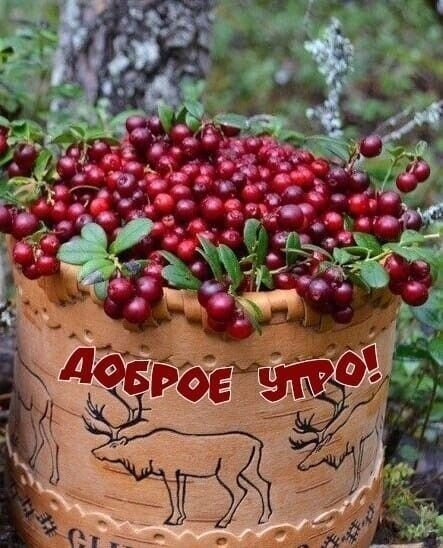 Открытка Доброе утро