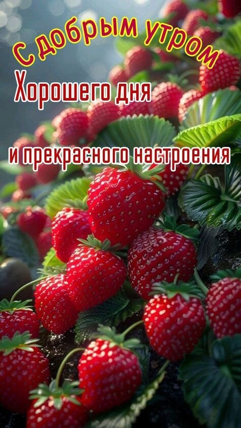 Открытка Доброе утро