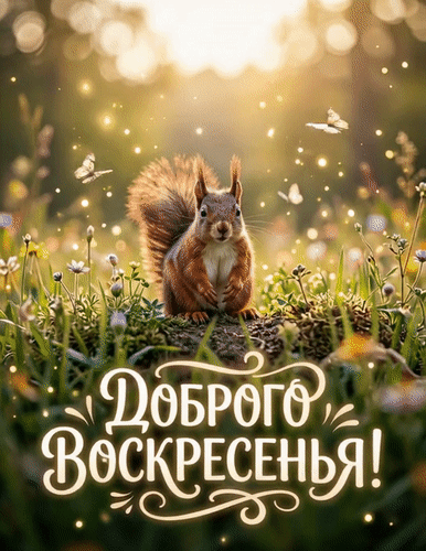 Анимированная открытка Доброго воскресенья