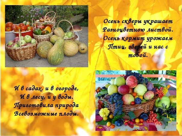 Открытка приготовила природа всевозможные плоды