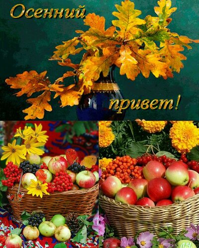 Открытка Осенний привет