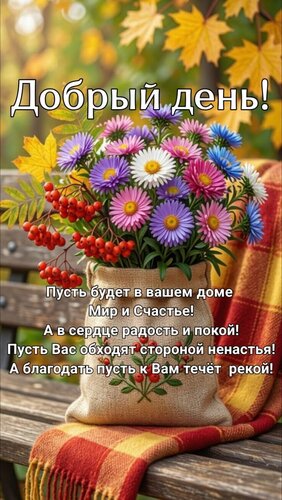Открытка Добрый день