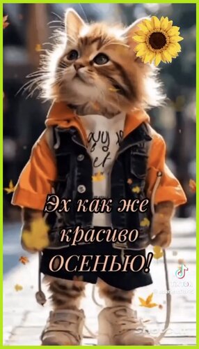 Открытка Эх как же красиво