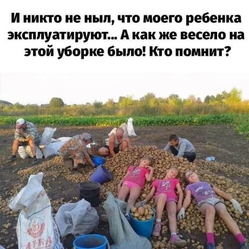 Открытка И никто не ныл