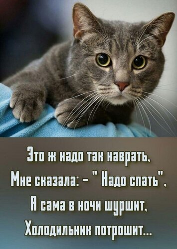 Открытка мне сказала надо спать