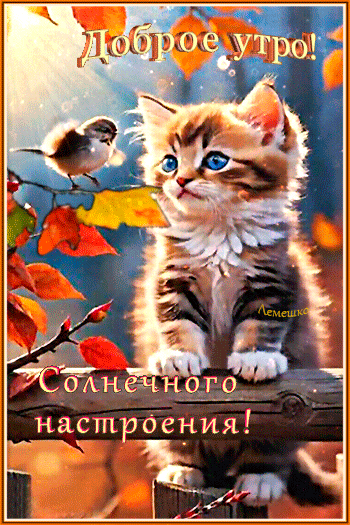 Анимированная открытка Доброе утро! Солнечного настроения!