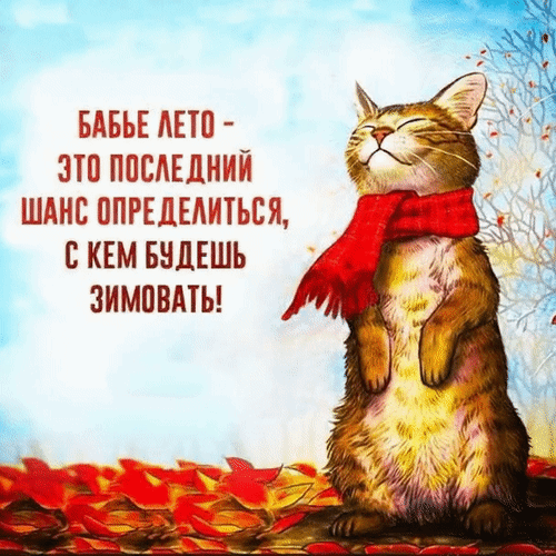 Анимированная открытка Бабье лето - это последний шанс определиться, с кем будешь зимовать!