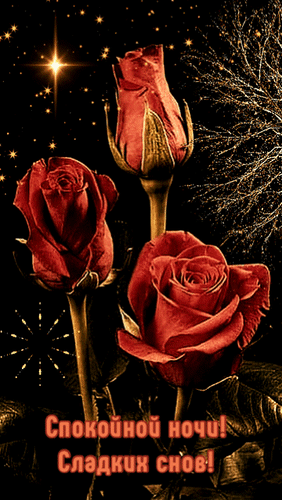 Анимированная открытка Спокойной ночи! Сладких снов!