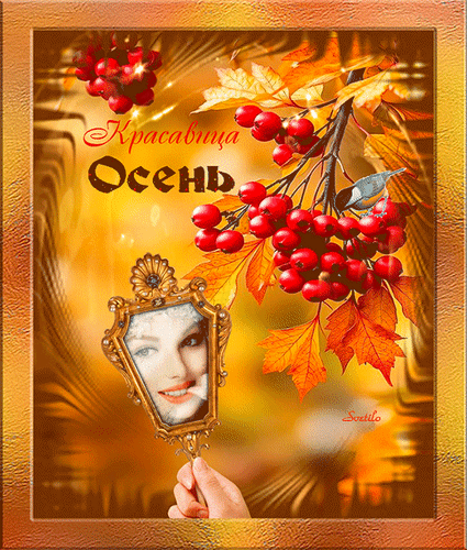 Анимированная открытка КРАСАВИЦА