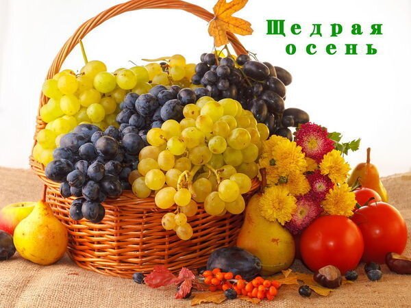 Открытка щедрой осени