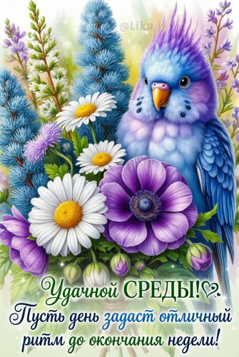 Открытка Удачной среды