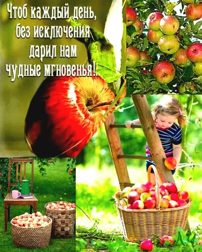 Открытка Что б каждый день дарил чудные мгновения