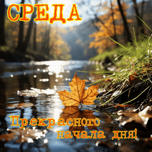 Анимированная открытка Среда Прекрасного начала дня!