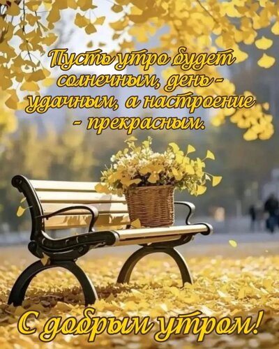 Открытка Пусть утро будет солнечным, день — удачным, а настроение — прекрасным.
