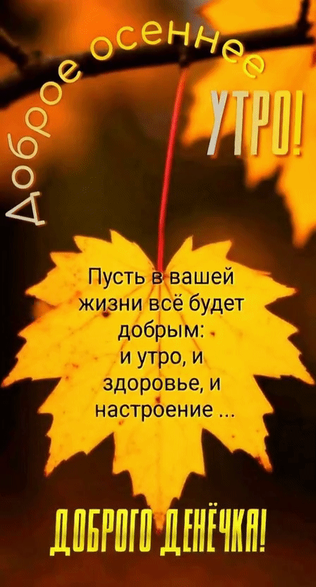 Анимированная открытка Доброе осеннее утро! Доброго денёчка! Пусть в вашей жизни всё будет добрым: и утро, и здоровье, и на