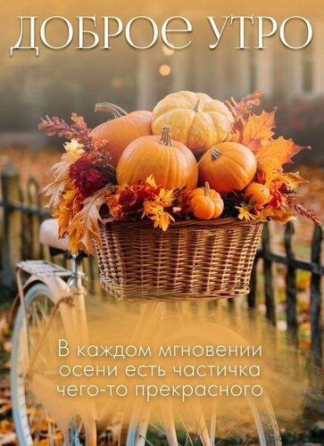 Открытка Доброе утро