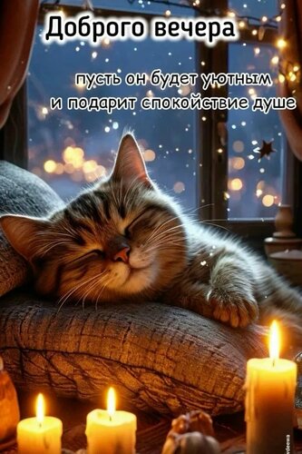 Открытка Доброго вечера