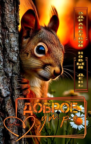 Открытка Доброе утро
