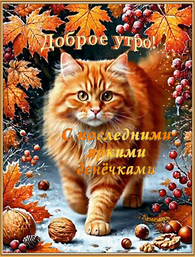 Анимированная открытка Доброе утро! С последними яркими денёчками