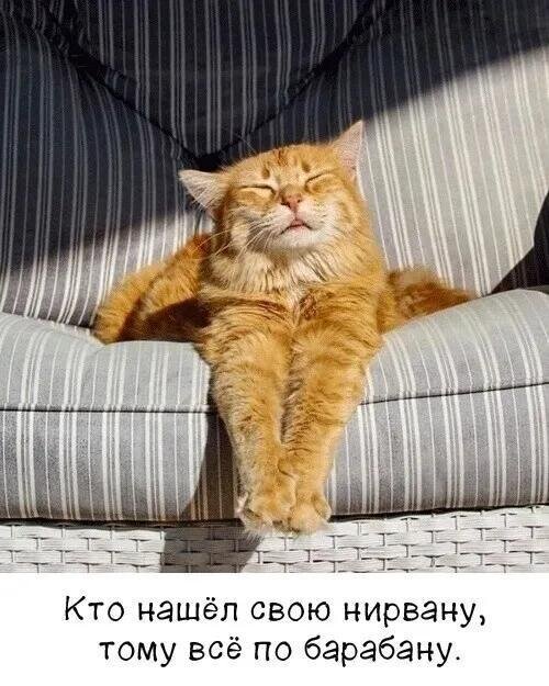 Открытка Кто нашёл свою нирвану