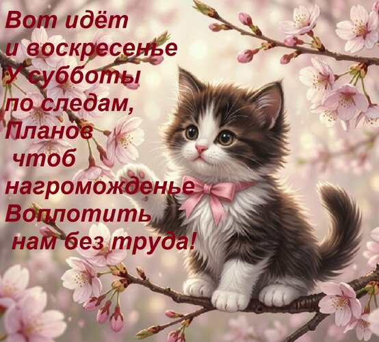Открытка Вот идёт и воскресенье У субботы по следам, Планов чтоб нагроможденье Воплотить нам без труда!