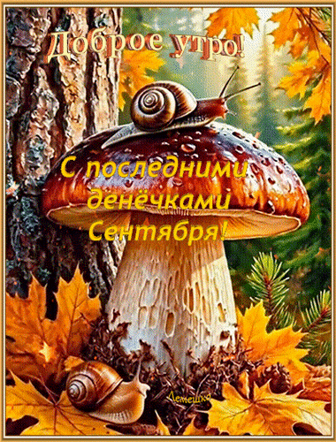 Анимированная открытка Доброе утро! С последними денёчками Сентября!