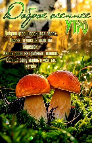 Открытка Доброе осеннее утро.