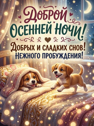Открытка Доброй осенней ночи
