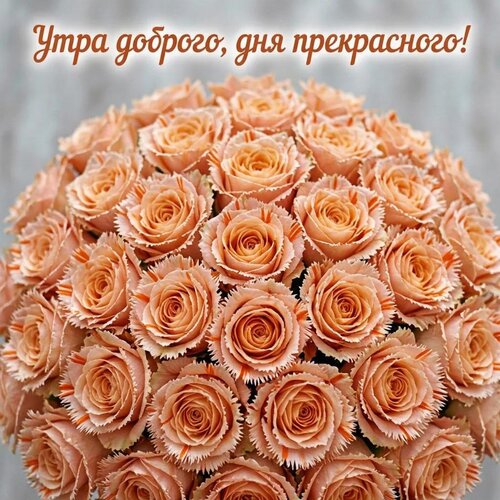 Открытка Утра доброго, дня прекрасного!