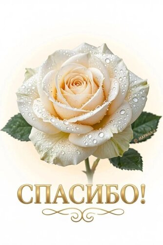 Открытка СПАСИБО!