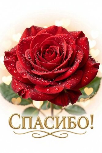 Открытка СПАСИБО!