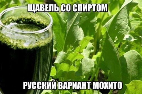 Открытка Русский мохито