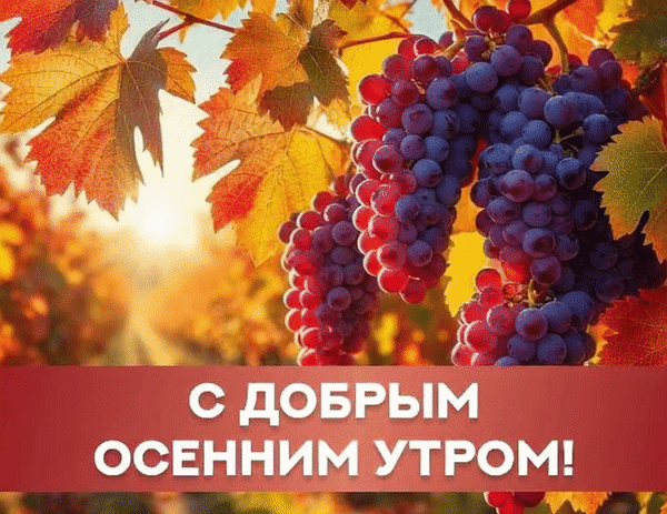 Анимированная открытка С добрым осенним утром!