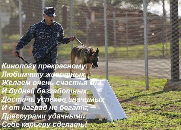 Открытка Кинологу прекрасному, любимчику животных, желаем очень счастья мы и будней беззаботных. 