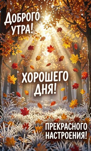 Открытка Доброго утра! Хорошего дня! Прекрасного настроения!