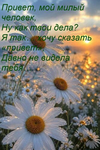 Открытка Привет, мой милый человек, Ну как твои дела? Я так… хочу сказать «привет», Давно не видела тебя…