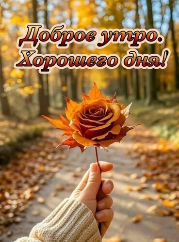 Открытка Доброе утро