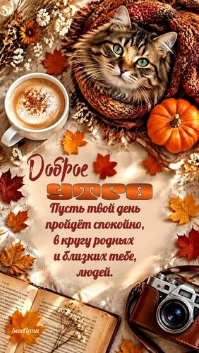 Открытка Доброе утро