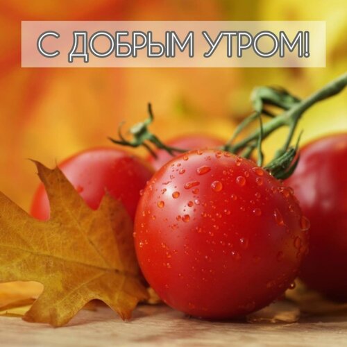Открытка доброе утро
