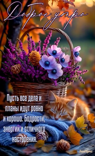 Открытка Доброе утро