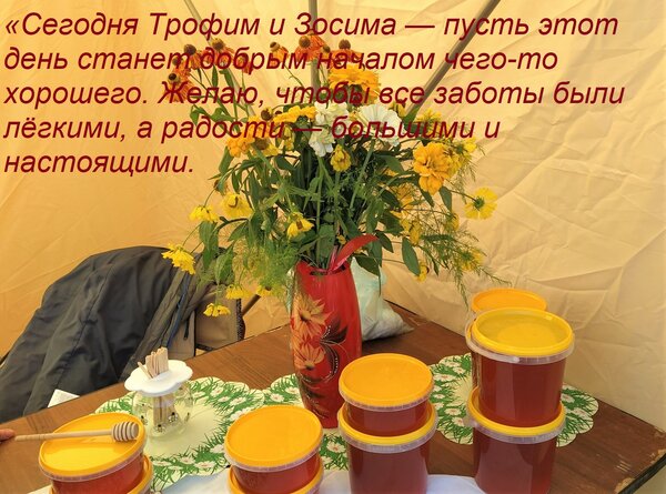 Открытка «Сегодня Трофим и Зосима — пусть этот день станет добрым началом чего-то хорошего. Желаю, чтобы все