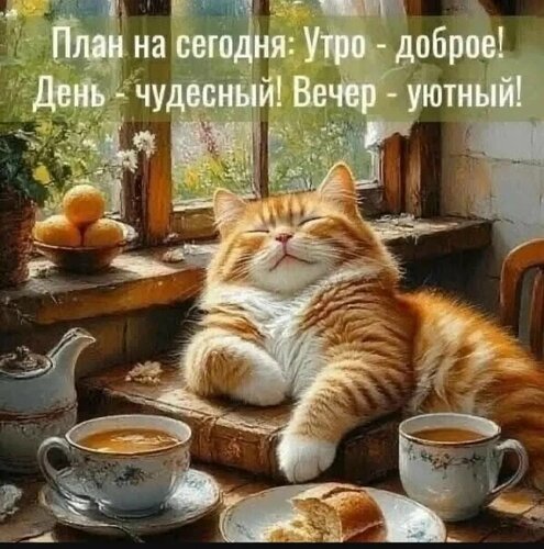 Открытка Доброе утро