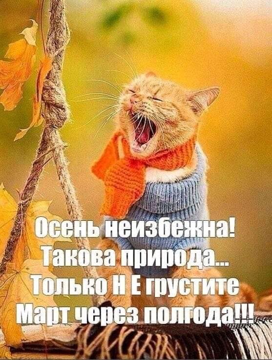Открытка Осень неизбежна