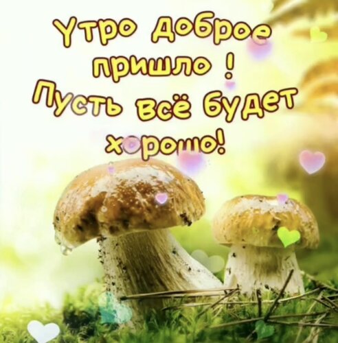 Открытка Доброе осеннее утро