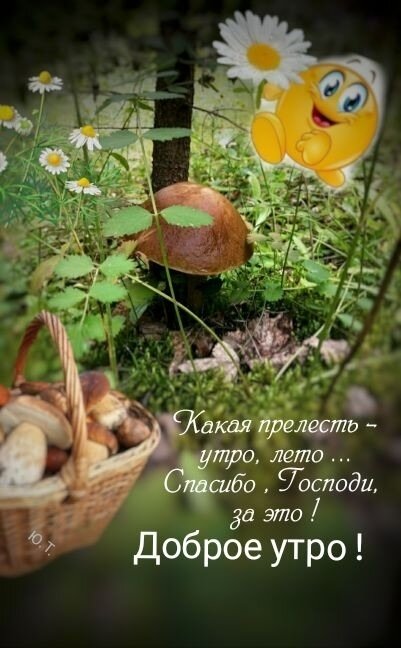 Открытка Доброе осеннее утро