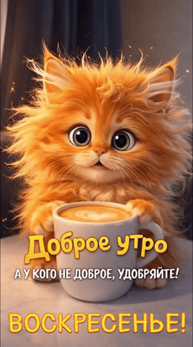 Анимированная открытка Воскресенье! Доброе утро. А у кого не доброе, удобряйте!