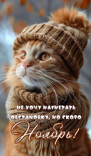 Открытка скоро ноябрь