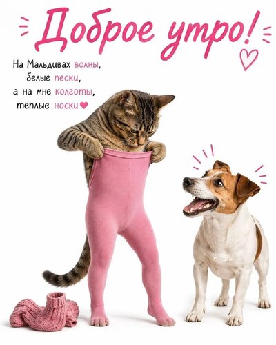 Открытка доброе утро